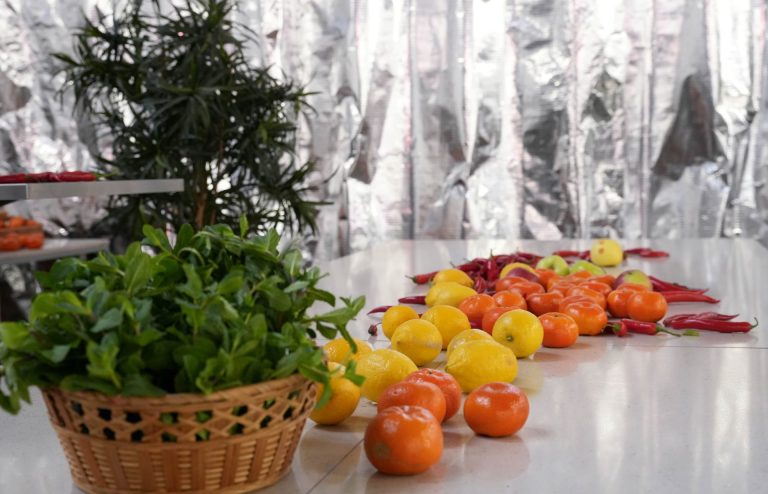 Tours and Tastings at the Riga Central Market